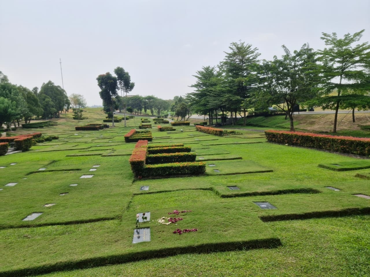Deretan lahan Single Burial dan Paket Pasangan di Adoration San Diego Hills, nisan rata tanah berjajar rapi dipisah pagar tanaman bunga oranye