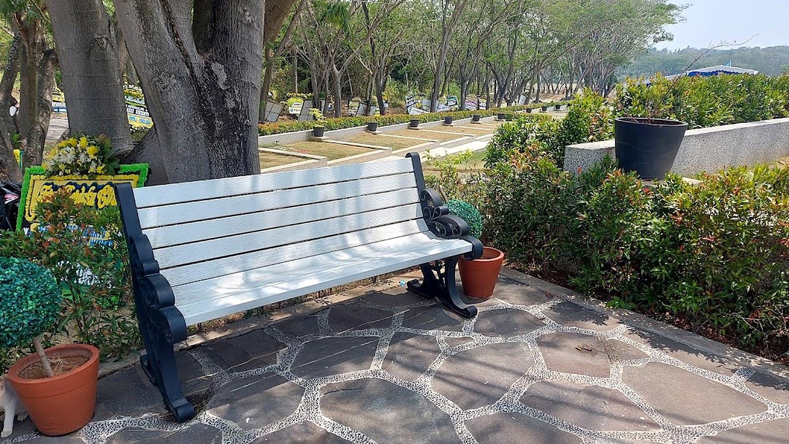 Bangku taman putih di jalur batu dekat area makam San Diego Hills, dikelilingi tanaman hijau dan pot bunga