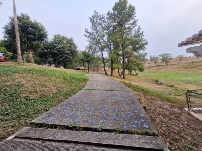 Jogging track di taman San Diego Hills dengan pepohonan pinus