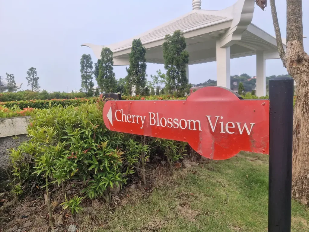 Papan penunjuk Cherry Blossom View San Diego Hills di antara taman hijau