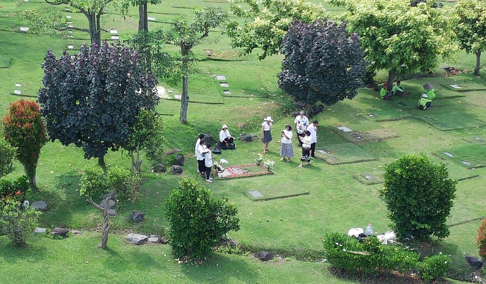 Keluarga berziarah bersama di bawah pepohonan teduh San Diego Hills, menabur bunga di makam, petugas taman merawat area di latar belakang